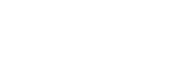 the-lions
